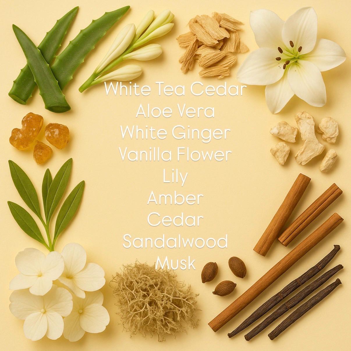 Shibuya | White Tea Cedar + Aloe Vera + Musk |