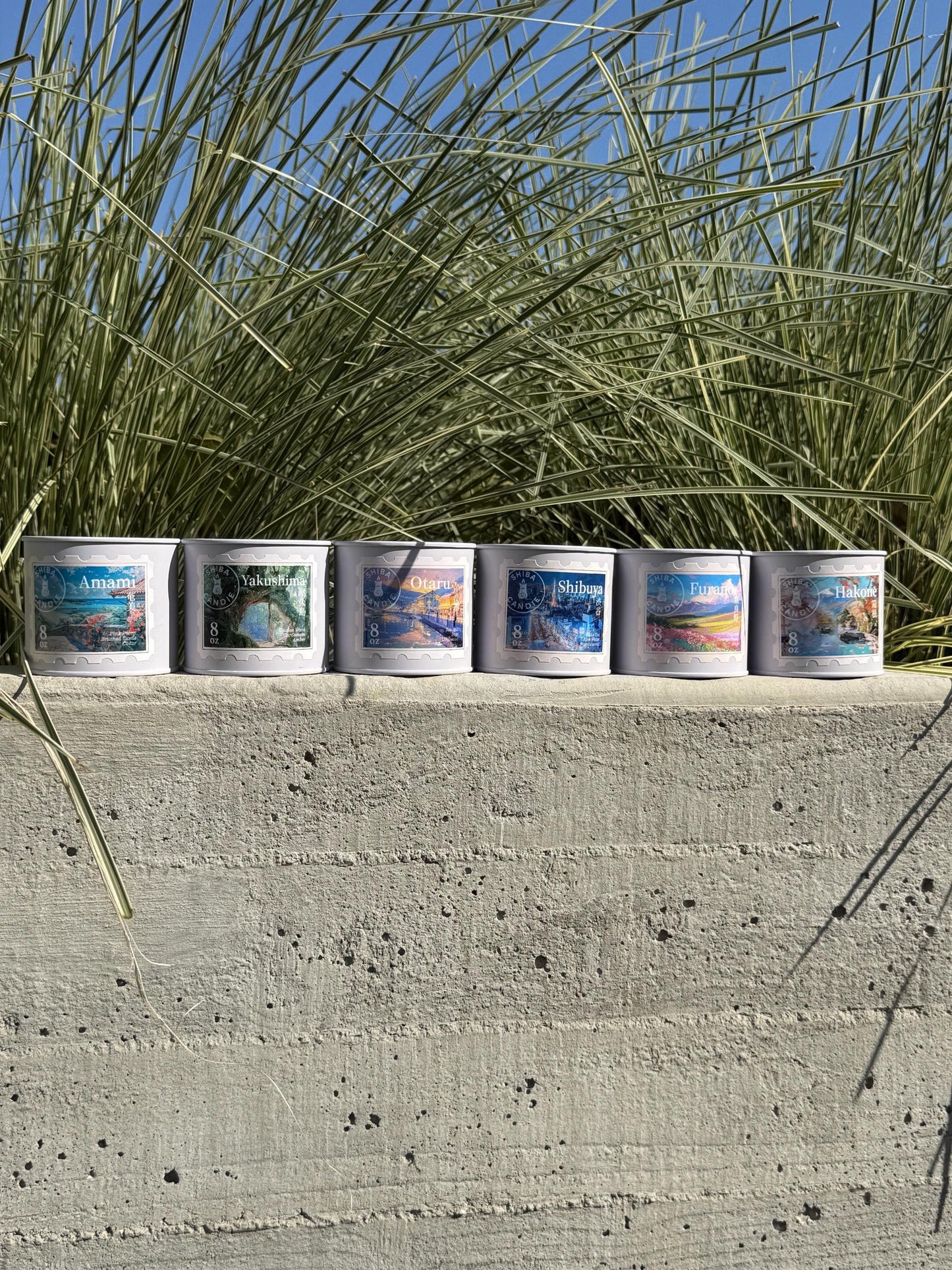 Shibuya | White Tea Cedar + Aloe Vera + Musk |